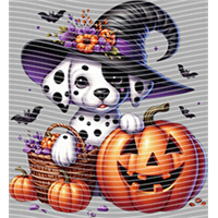Halloween-WS 5702